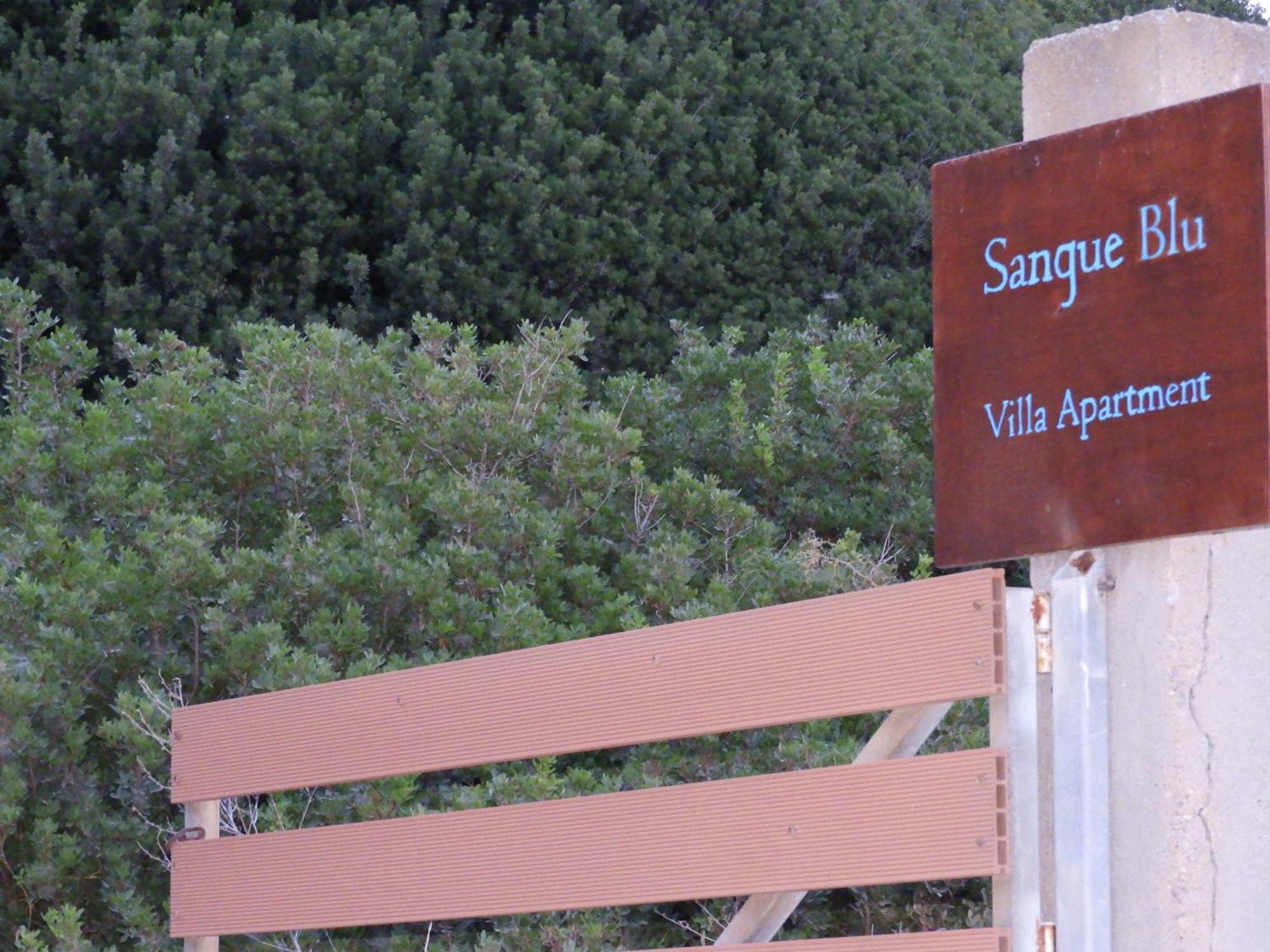 Sangue Blu Beachfront Villa Apartment 아이오스 니콜라오스 외부 사진